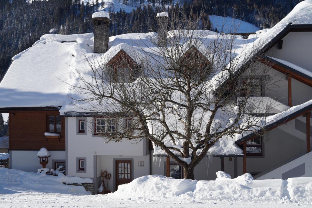 Biobauernhof Spieszschweiger Sankt Nikolai im Sölktal Exterior foto