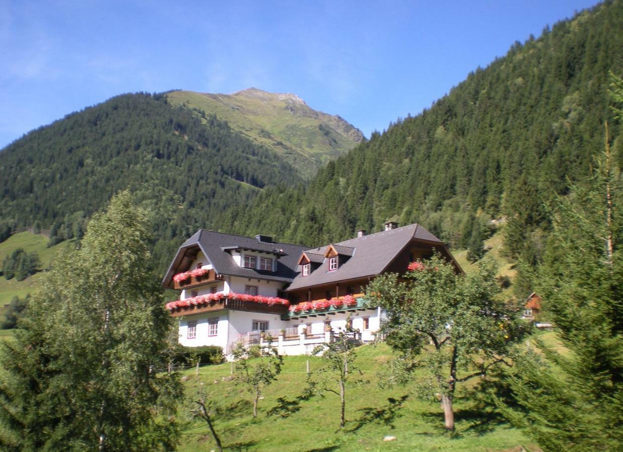 Biobauernhof Spieszschweiger Sankt Nikolai im Sölktal Exterior foto